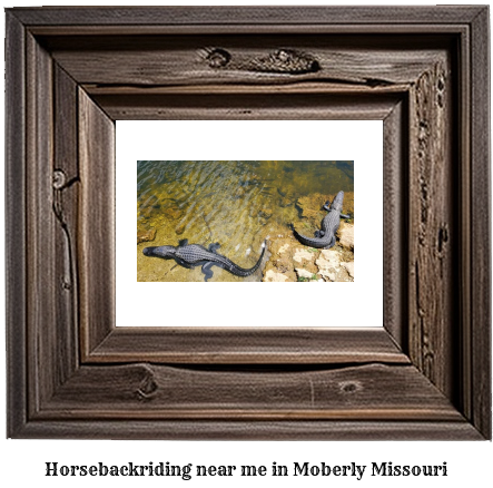 horseback riding near me in Moberly, Missouri